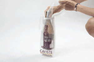 Brigitte Tanaka BAG "CAVISTE"